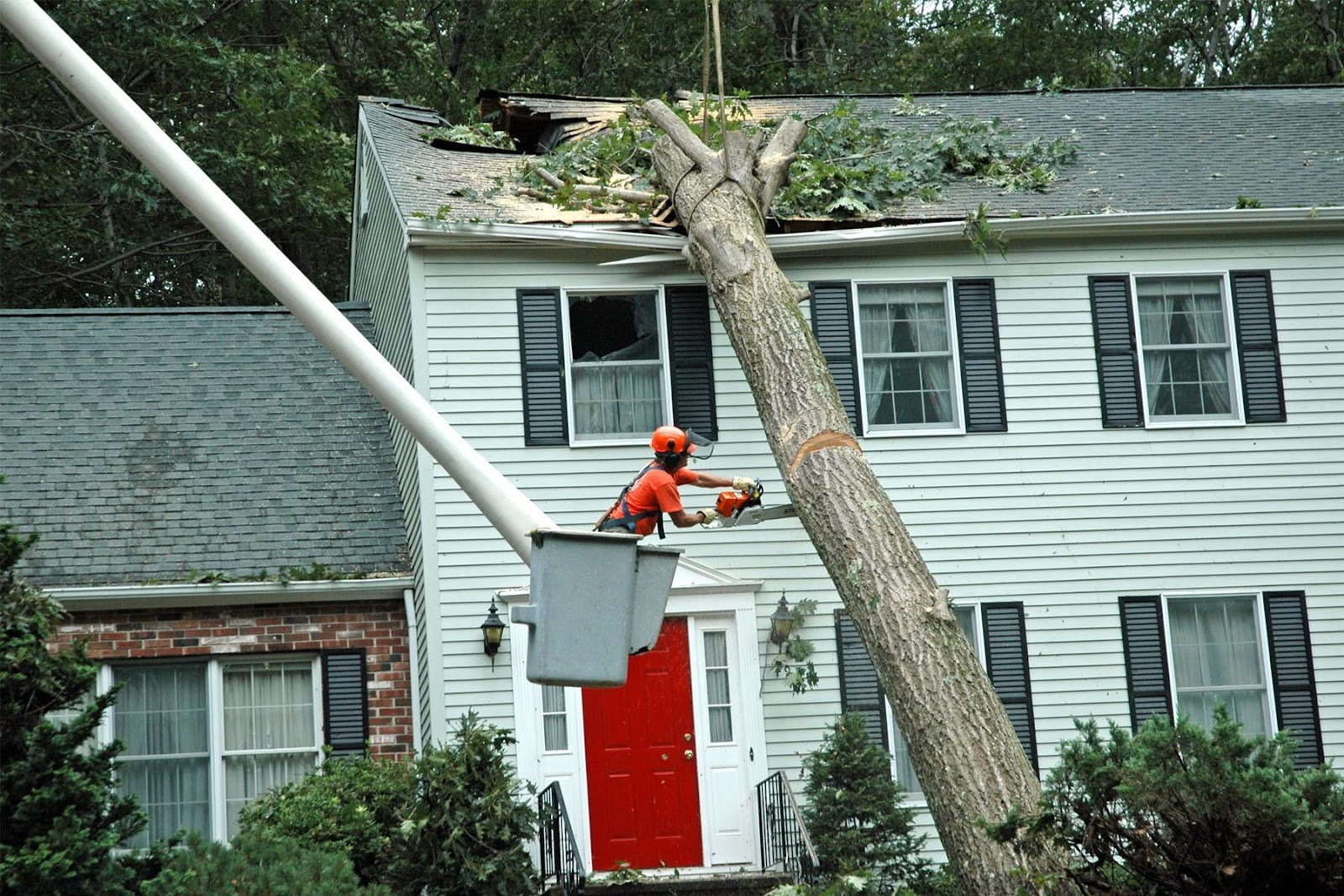 ree Care After Extreme Weather