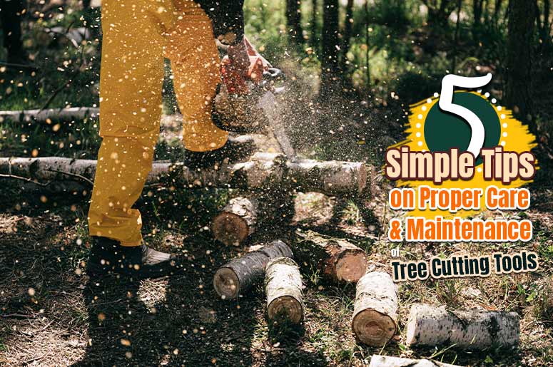 Pruning Tools Care and Maintenance