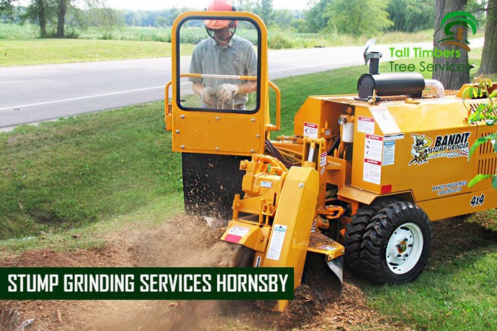 Stump Grinding Services Hornsby