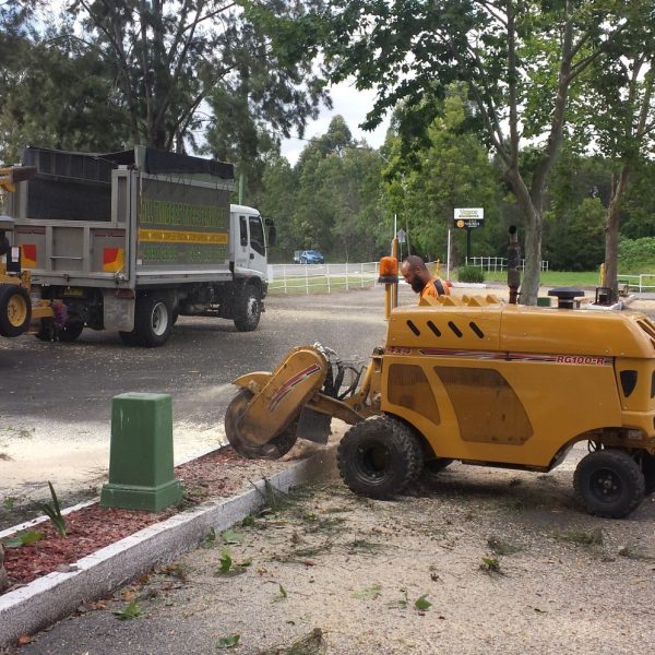 stump-removal-ryde