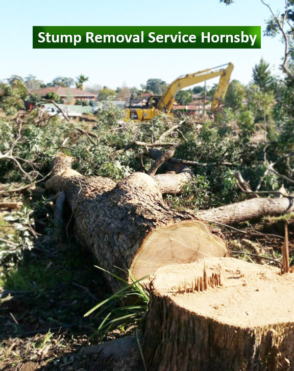 Stump Removal Service Hornsby