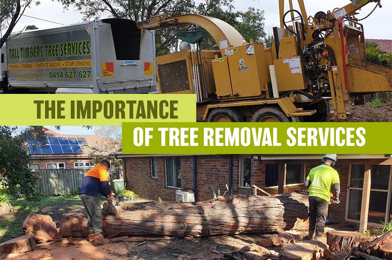 the importance of tree removal services