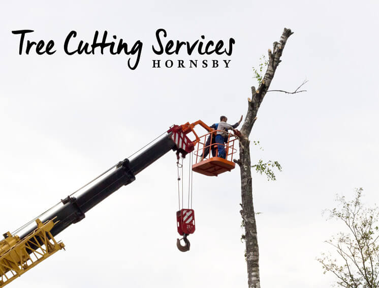 Tree Cutting Services Hornsby