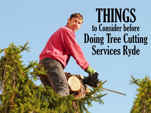 Things to consider before doing tree cutting services Ryde