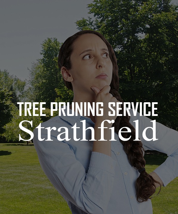 Tree pruning service Strathfield