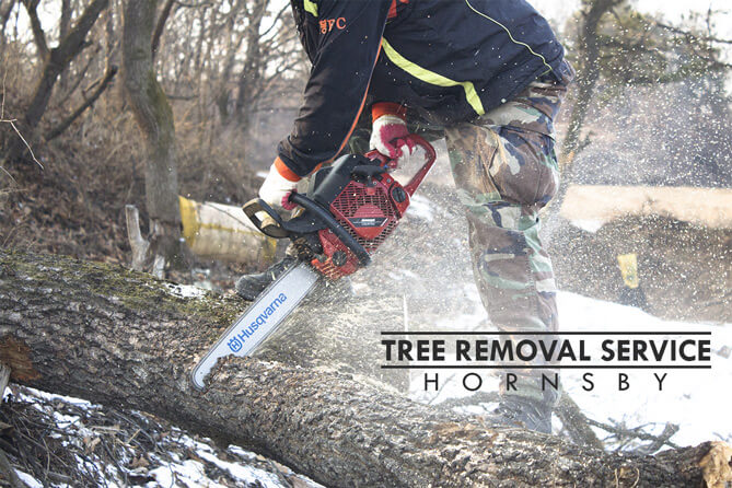 Tree Removal Service Hornsby