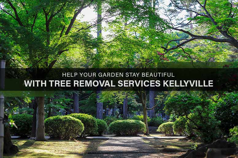 tree removal services Kellyville