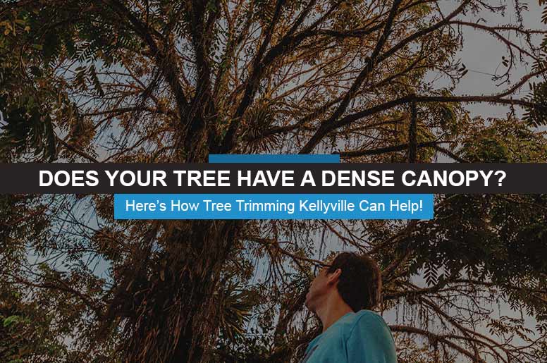 tree trimming Kellyville