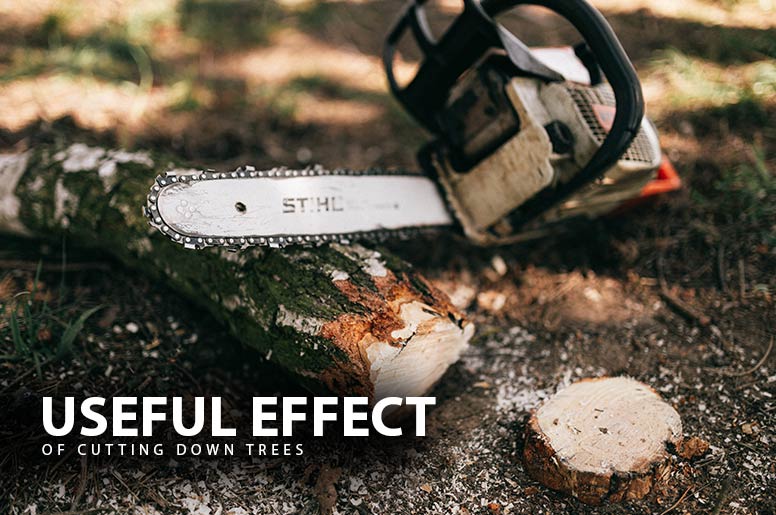 useful effect of cutting down trees